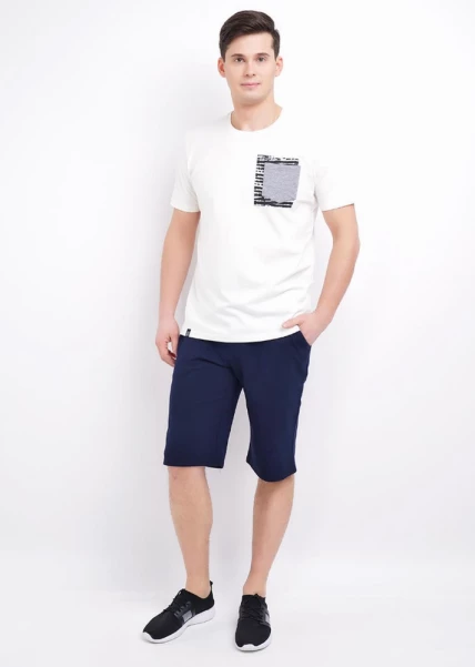 600947/4а Шорты мужские Эйс