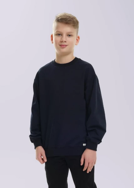 746623у Джемпер для мальчика Clever