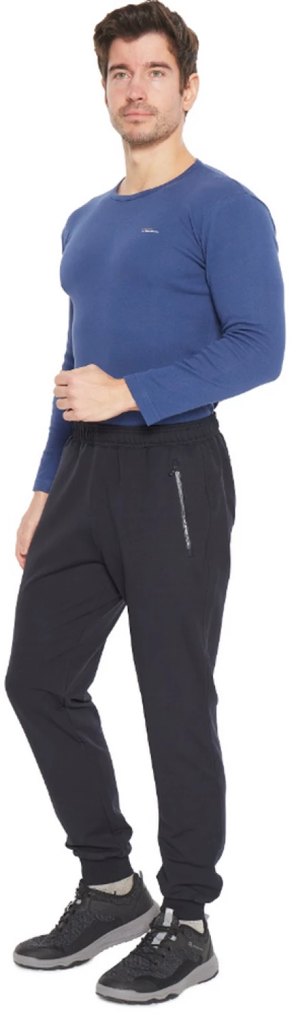 2357 Брюки мужские Тагертон