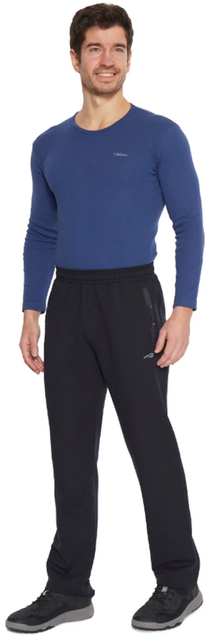 2358 Брюки мужские Тагертон