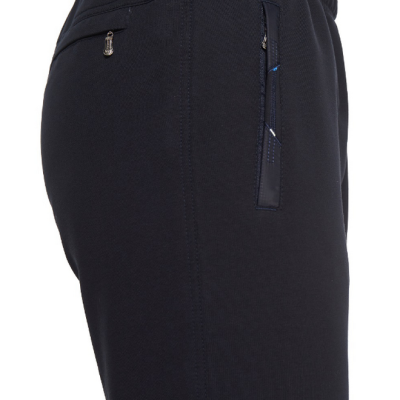 2358 Брюки мужские Тагертон