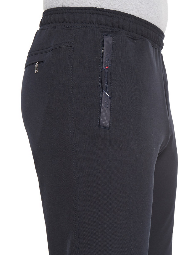 2358 Брюки мужские Тагертон