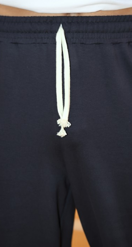 Брюки мужские Успех-6 ТД ВиоТекс