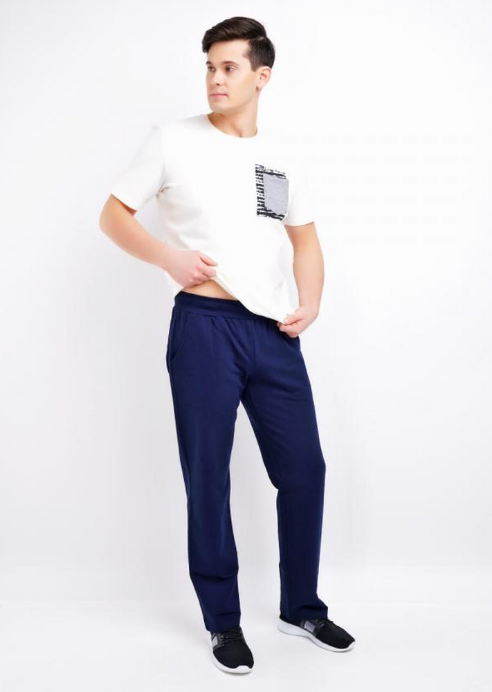 600946/4а  Брюки мужские Эйс