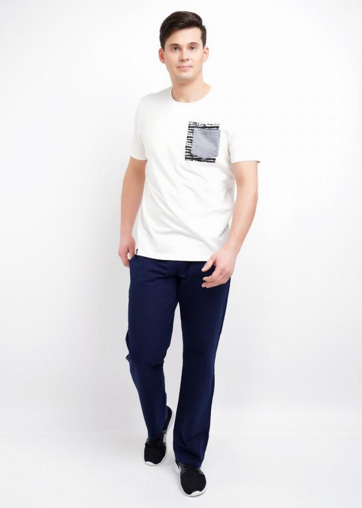 600946/4а  Брюки мужские Эйс