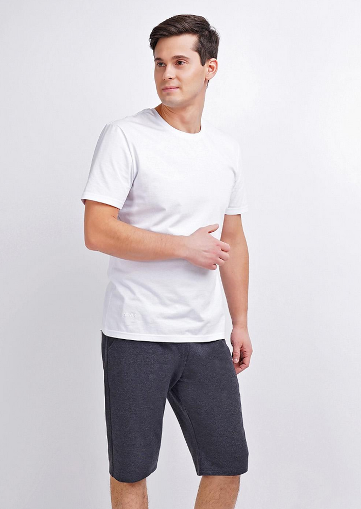 600947/1а Шорты мужские Эйс