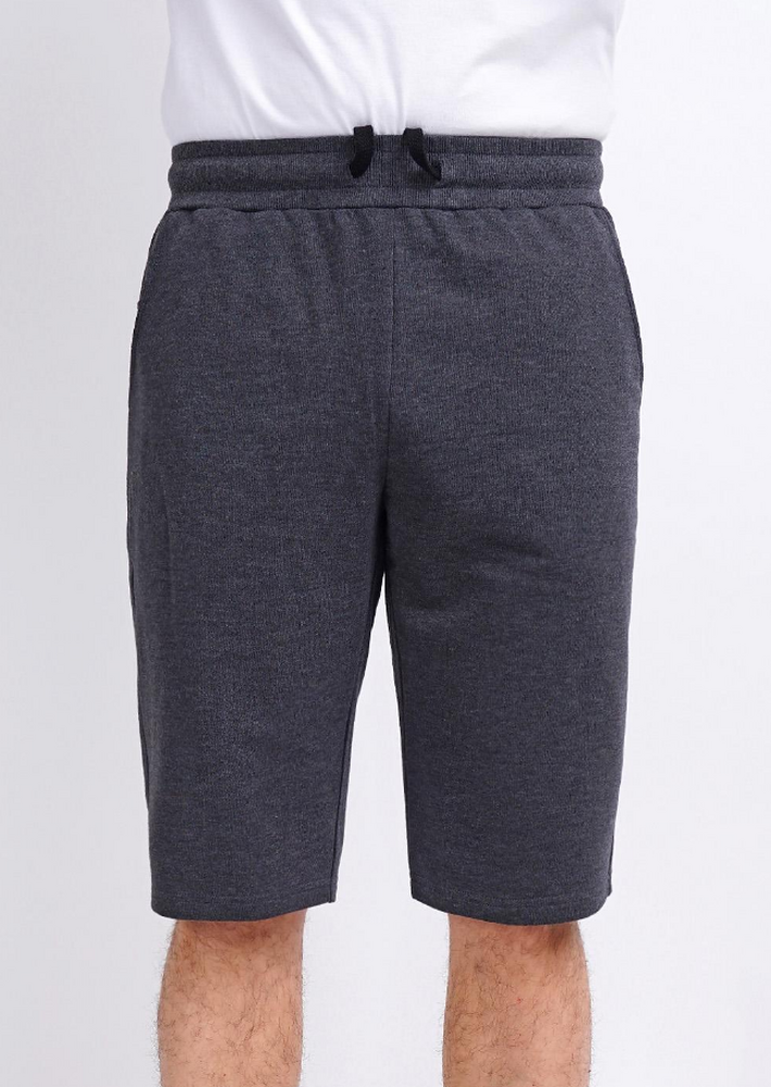 600947/1а Шорты мужские Эйс