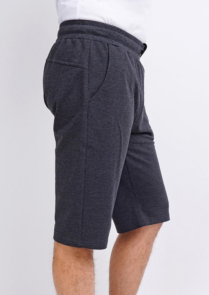 600947/1а Шорты мужские Эйс