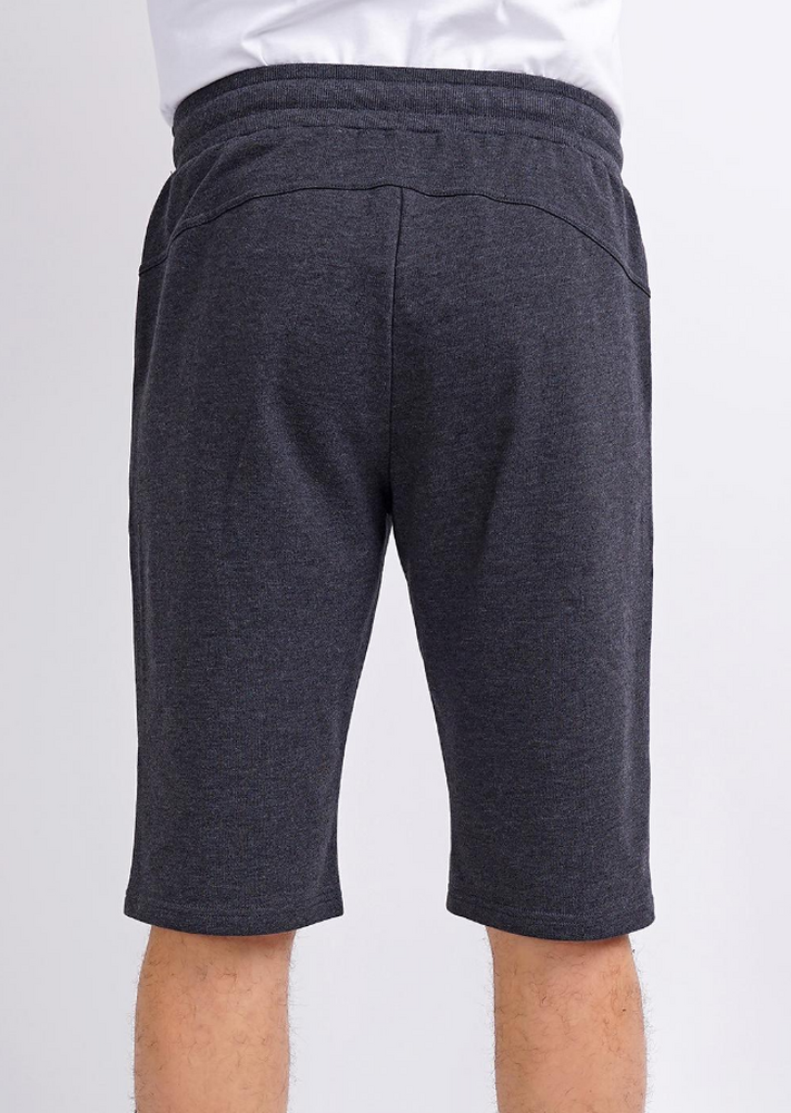 600947/1а Шорты мужские Эйс