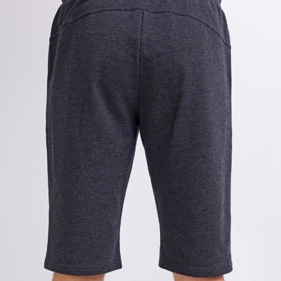 600947/1а Шорты мужские Эйс