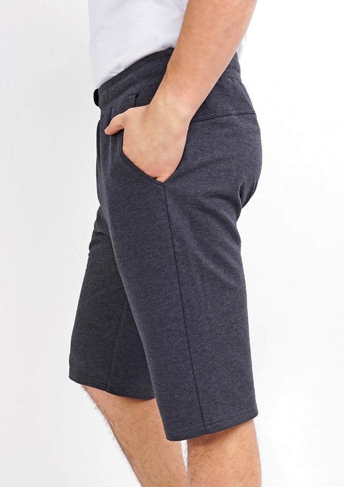 600947/1а Шорты мужские Эйс