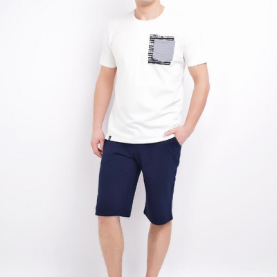 600947/4а Шорты мужские Эйс