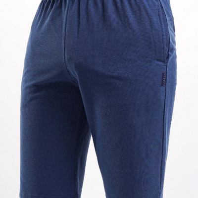 601118зэ Шорты мужские CLEVER